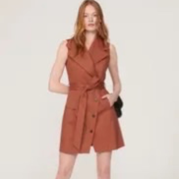 COPY - Toccin X RTR Brown Trench Wrap Dress sz. 12 $425 Flaw/Stains - Picture 1 of 8